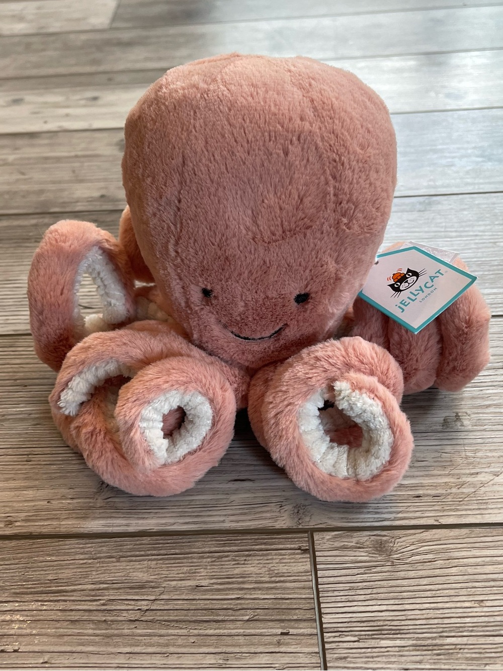 Jellycat | Odell Octopus | Size: Little